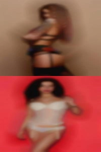 boxedesroyer where to
